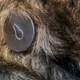 Illustration for article titled Adventure Tested: Whistle, A Fitness Tracker For Your Dog